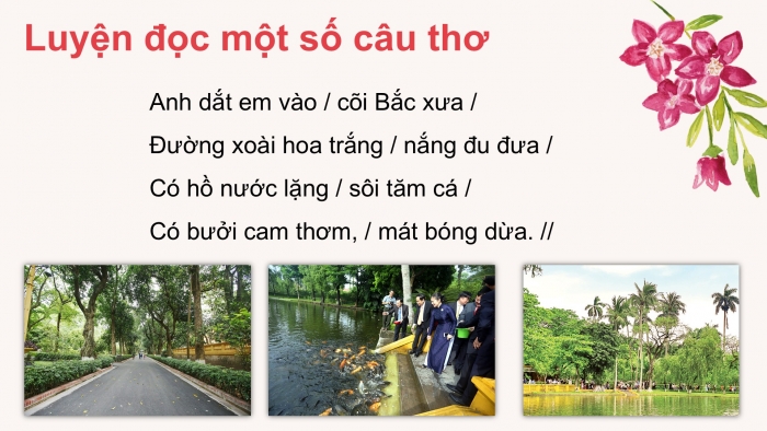 Giáo án điện tử Tiếng Việt 5 cánh diều Bài 14: Thăm nhà Bác