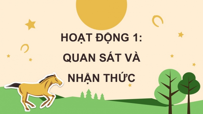 Giáo án điện tử Mĩ thuật 5 chân trời bản 2 Bài 11: Bảo vệ không gian xanh