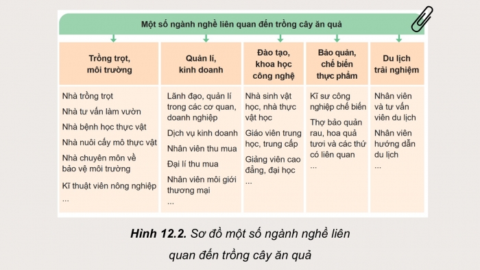 Giáo án điện tử Công nghệ 9 Trồng cây ăn quả Cánh diều Bài 12: Một số ngành nghề liên quan đến trồng cây ăn quả