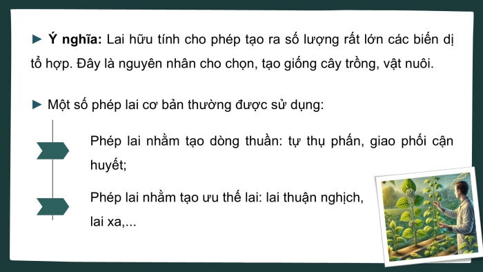 Giáo án điện tử Sinh học 12 cánh diều Bài 12: Thành tựu chọn, tạo giống bằng lai hữu tính