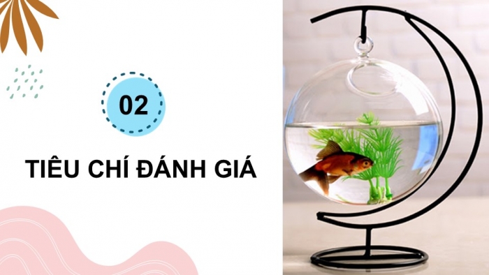 Giáo án điện tử chuyên đề Công nghệ 12 Lâm nghiệp Thuỷ sản Cánh diều Bài 11: Dự án Nuôi cá cảnh