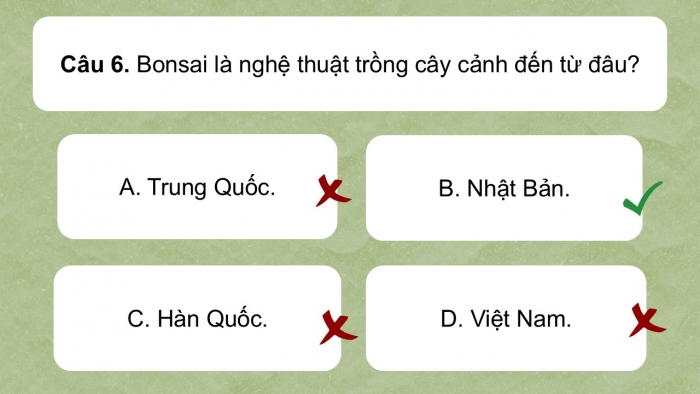 Giáo án điện tử Ngữ văn 9 kết nối Bài 9: Văn hóa hoa – cây cảnh (Trần Quốc Vượng)