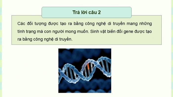 Giáo án điện tử KHTN 9 kết nối - Phân môn Sinh học Bài 48: Ứng dụng công nghệ di truyền vào đời sống