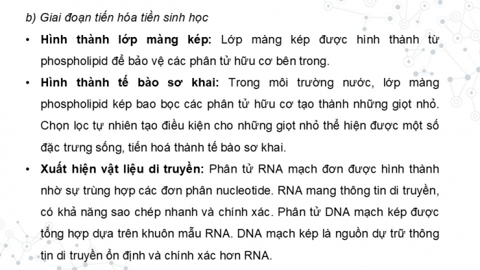 Giáo án điện tử KHTN 9 kết nối - Phân môn Sinh học Bài 51: Sự phát sinh và phát triển sự sống trên Trái Đất