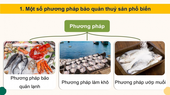 Giáo án điện tử Công nghệ 12 Lâm nghiệp - Thủy sản Kết nối Bài 22: Bảo quản và chế biến sản phẩm thủy sản