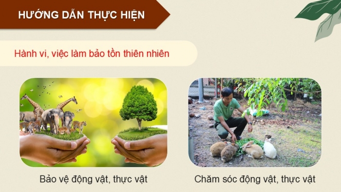 Giáo án điện tử Hoạt động trải nghiệm 12 chân trời bản 1 Chủ đề 9: Bảo vệ cảnh quan thiên nhiên, thế giới động vật và thực vật (P2)