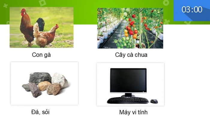 Giáo án PPT KHTN 6 chân trời Bài 2: Các lĩnh vực chủ yếu của khoa học tự nhiên