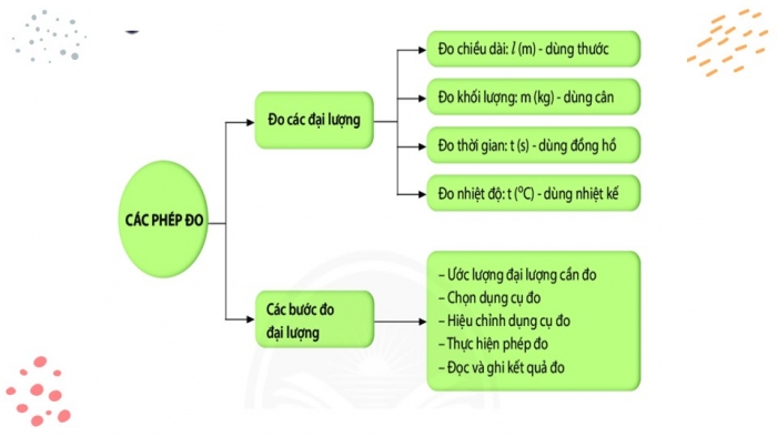 Giáo án PPT KHTN 6 chân trời Ôn tập Chủ đề 1