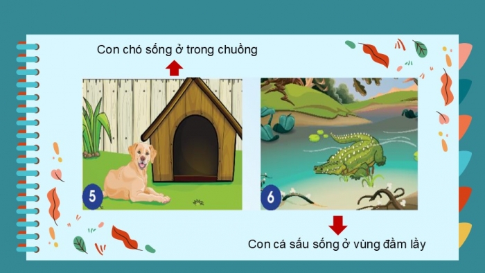 Giáo án PPT Tự nhiên và Xã hội 2 chân trời Bài 15: Động vật sống ở đâu?