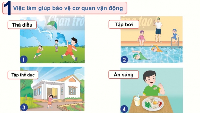 Giáo án PPT Tự nhiên và Xã hội 2 chân trời Bài 20: Chăm sóc, bảo vệ cơ quan vận động