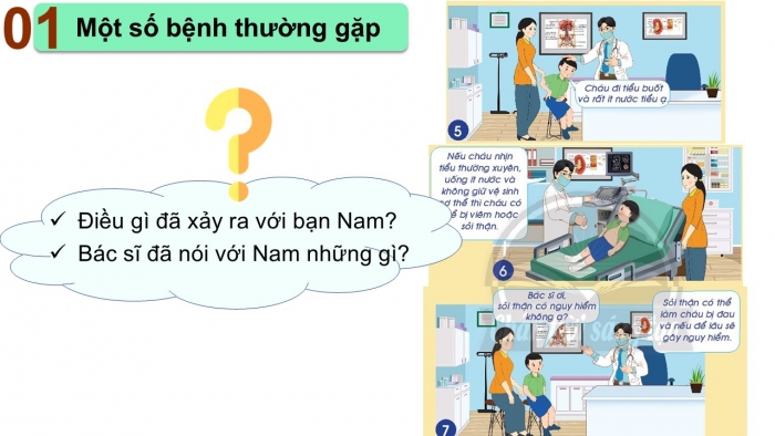 Giáo án PPT Tự nhiên và Xã hội 2 chân trời Bài 24: Chăm sóc, bảo vệ cơ quan bài tiết nước tiểu