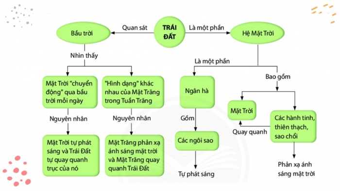 Giáo án PPT KHTN 6 chân trời Ôn tập Chủ đề 11