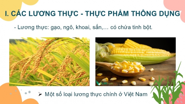 Giáo án PPT KHTN 6 cánh diều Bài 9: Một số lương thực – thực phẩm thông dụng