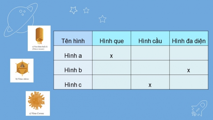 Giáo án PPT KHTN 6 cánh diều Bài 16: Virus và vi khuẩn