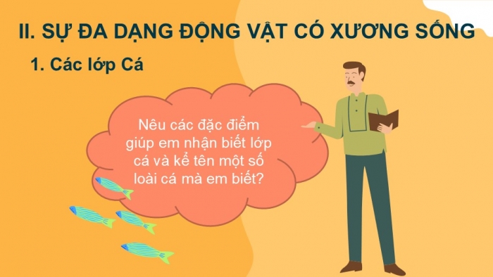 Giáo án PPT KHTN 6 cánh diều Bài 23: Đa dạng động vật có xương sống