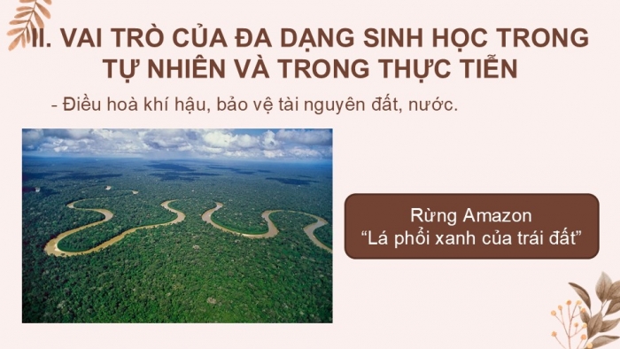 Giáo án PPT KHTN 6 cánh diều Bài 24: Đa dạng sinh học