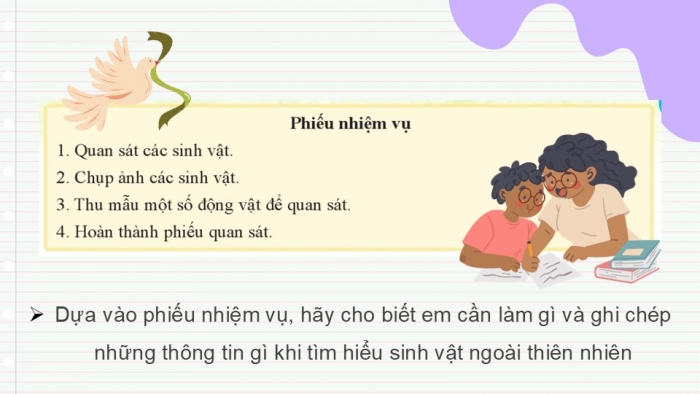 Giáo án PPT KHTN 6 cánh diều Bài 25: Tìm hiểu sinh vật ngoài thiên nhiên