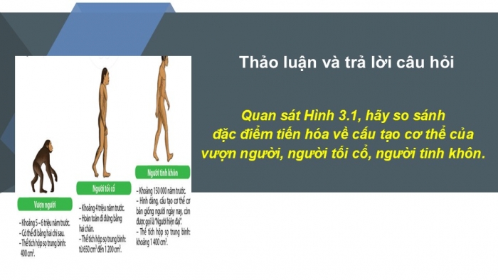 Giáo án PPT Lịch sử 6 cánh diều Bài 3: Nguồn gốc loài người