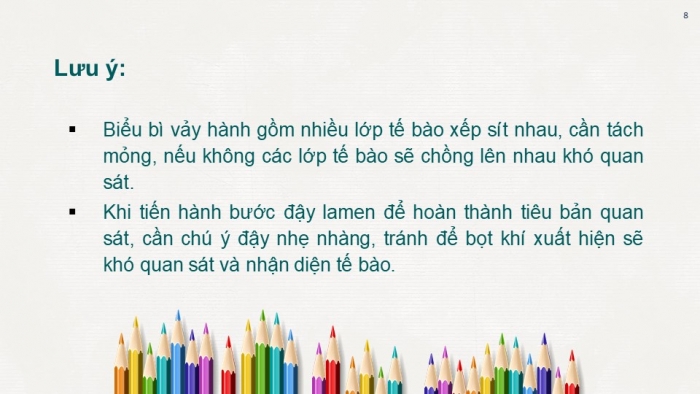 Giáo án PPT KHTN 6 chân trời Bài 18: Thực hành quan sát tế bào thực vật