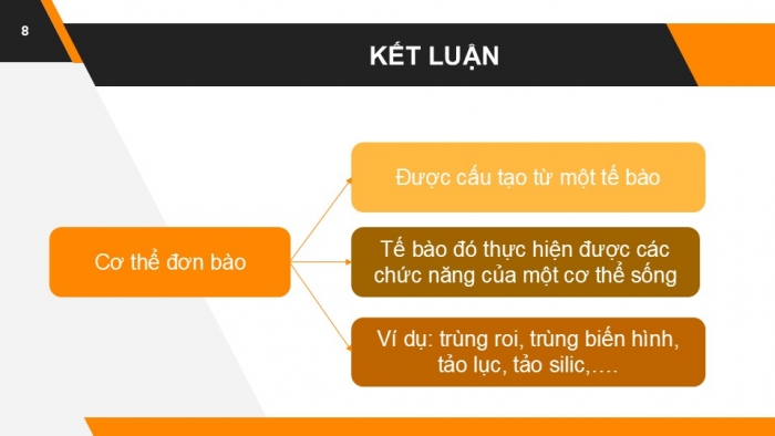 Giáo án PPT KHTN 6 chân trời Bài 19: Cơ thể đơn bào và cơ thể đa bào