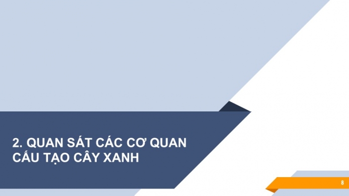 Giáo án PPT KHTN 6 chân trời Bài 21: Thực hành quan sát sinh vật