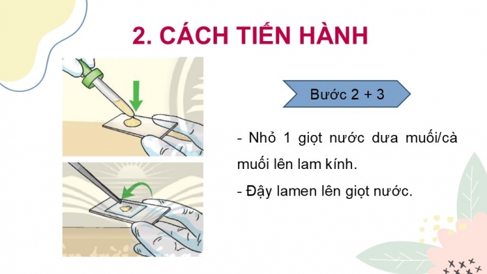 Giáo án PPT KHTN 6 chân trời Bài 26: Thực hành quan sát vi khuẩn. Tìm hiểu các bước làm sữa chua