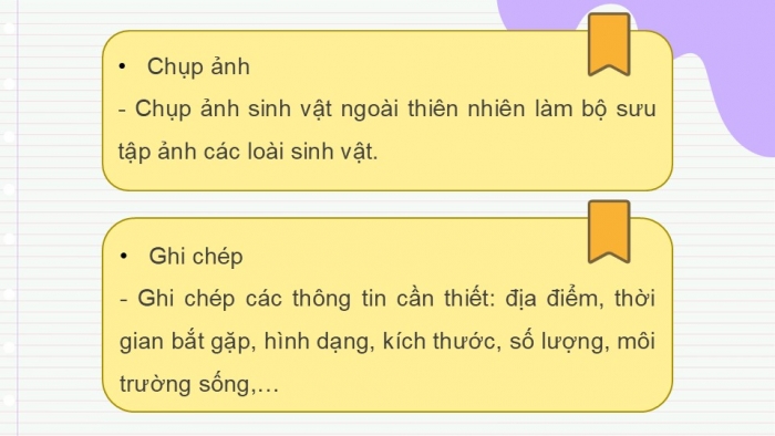 Giáo án PPT KHTN 6 chân trời Bài 34: Tìm hiểu sinh vật ngoài thiên nhiên