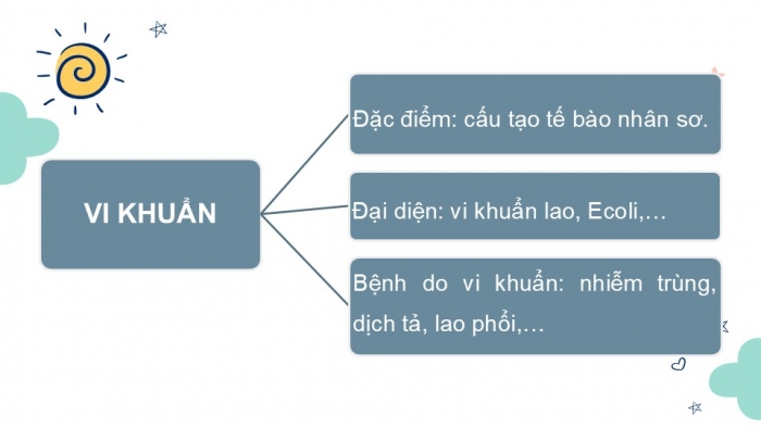 Giáo án PPT KHTN 6 chân trời Ôn tập Chủ đề 8