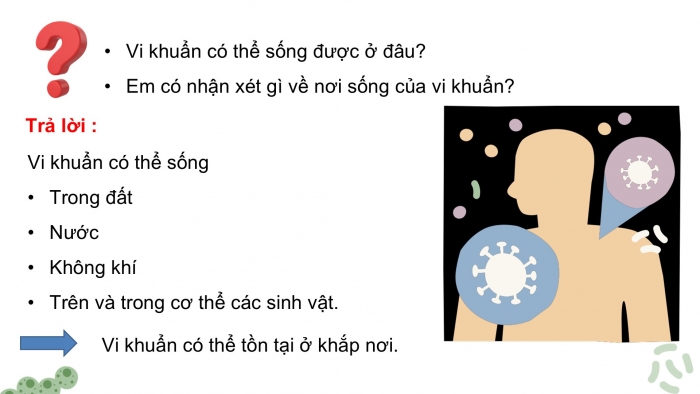 Giáo án điện tử Khoa học 5 cánh diều Bài 12: Vi khuẩn và vi khuẩn gây bệnh ở người