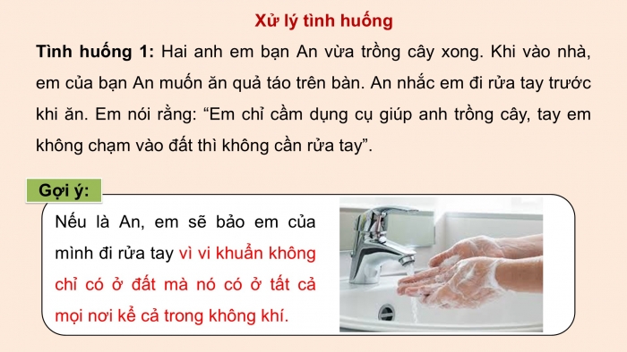 Giáo án điện tử Khoa học 5 cánh diều Bài Ôn tập chủ đề Vi khuẩn