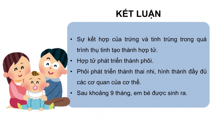 Giáo án điện tử Khoa học 5 cánh diều Bài 15: Sự sinh sản ở người