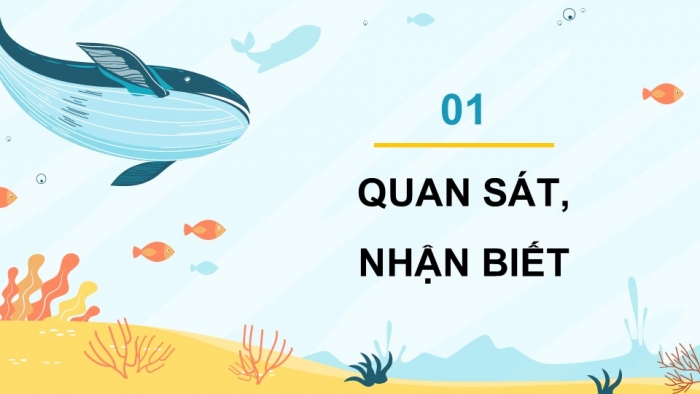 Giáo án điện tử Mĩ thuật 5 cánh diều Bài 10: Bảo vệ môi trường biển