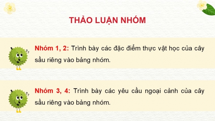 Giáo án điện tử Công nghệ 9 Trồng cây ăn quả Kết nối Bài 6: Kĩ thuật trồng và chăm sóc cây sầu riêng