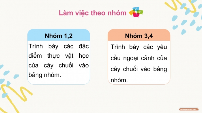 Giáo án điện tử Công nghệ 9 Trồng cây ăn quả Kết nối Bài 7: Kĩ thuật trồng và chăm sóc cây chuối