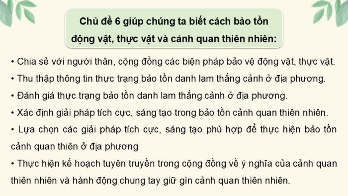 Giáo án điện tử Hoạt động trải nghiệm 12 chân trời bản 2 Chủ đề 6: Bảo tồn động vật, thực vật và cảnh quan thiên nhiên (P1)