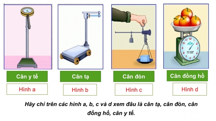 Giáo án PPT KHTN 6 kết nối Bài 6: Đo khối lượng