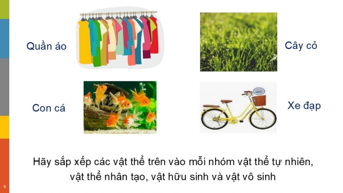 Giáo án PPT KHTN 6 chân trời Bài 8: Sự đa dạng và các thể cơ bản của chất. Tính chất của chất