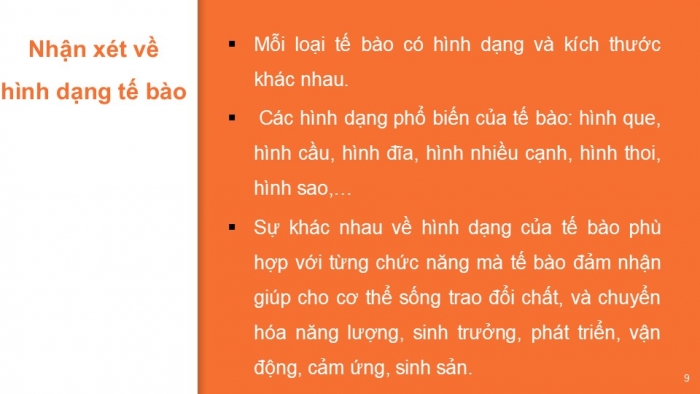 Giáo án PPT KHTN 6 kết nối Bài 18: Tế bào – Đơn vị cơ bản của sự sống