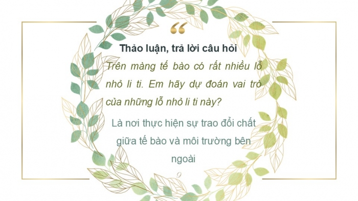 Giáo án PPT KHTN 6 kết nối Bài 19: Cấu tạo và chức năng các thành phần của tế bào