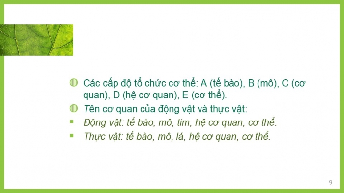 Giáo án PPT KHTN 6 kết nối Bài 23: Tổ chức cơ thể đa bào