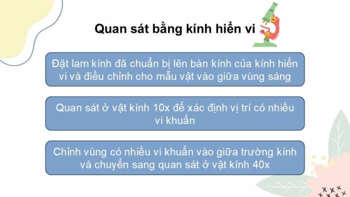 Giáo án PPT KHTN 6 kết nối Bài 28 Thực hành: Làm sữa chua và quan sát vi khuẩn