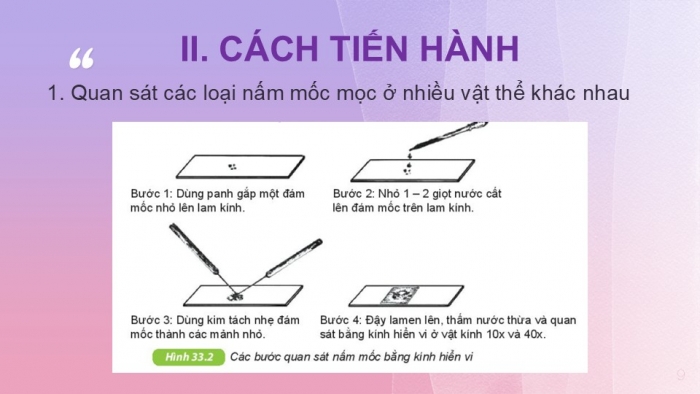 Giáo án PPT KHTN 6 kết nối Bài 33 Thực hành: Quan sát các loại nấm