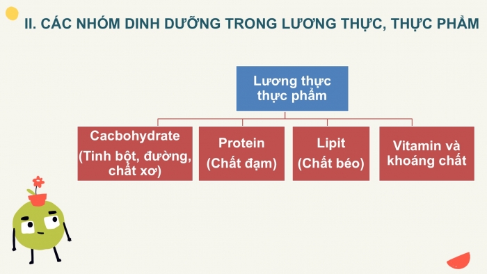 Giáo án PPT KHTN 6 kết nối Bài 15: Một số lương thực, thực phẩm