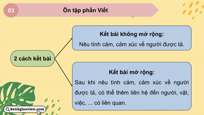 Giáo án PPT dạy thêm Tiếng Việt 5 chân trời bài 6: Bài đọc Thiên đường của các loài động vật hoang dã. Viết đoạn kết bài cho bài văn tả người