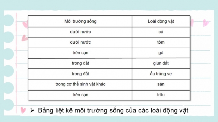 Giáo án PPT KHTN 6 kết nối Bài 36: Động vật