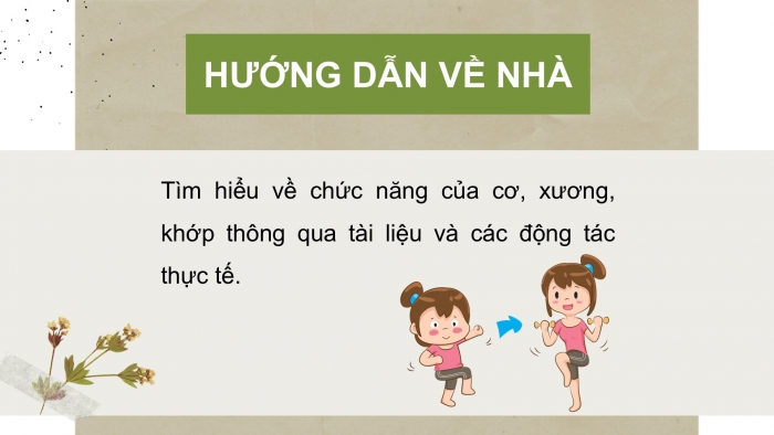 Giáo án PPT Tự nhiên và Xã hội 2 kết nối Bài 21: Tìm hiểu cơ quan vận động