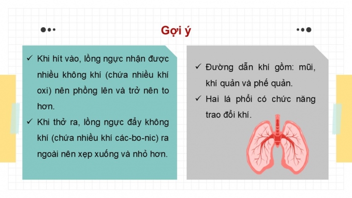 Giáo án PPT Tự nhiên và Xã hội 2 kết nối Bài 23: Tìm hiểu cơ quan hô hấp