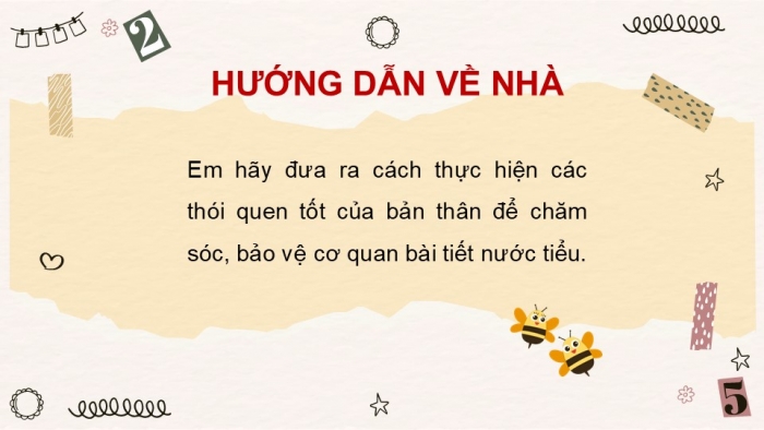 Giáo án PPT Tự nhiên và Xã hội 2 kết nối Bài 26: Chăm sóc, bảo vệ cơ quan bài tiết nước tiểu