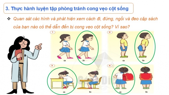 Giáo án PPT Tự nhiên và Xã hội 2 cánh diều Bài 15: Phòng tránh cong vẹo cột sống