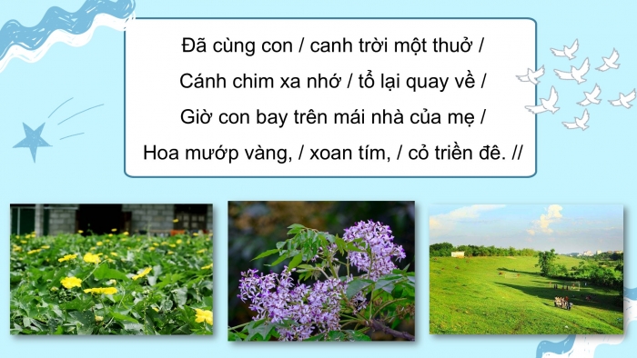 Giáo án điện tử Tiếng Việt 5 cánh diều Bài 12: Bay trên mái nhà của mẹ